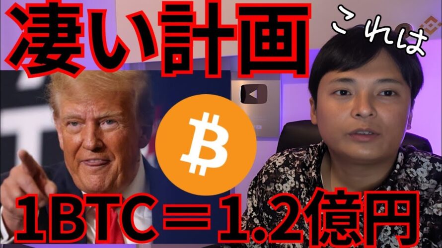 ビットコイン 2025年 80万ドル(1.2億円)!? トランプ新政権の凄い計画とは【仮想通貨 暗号通貨 暗号資産 BTC ETH XRP SOL BNB SUI ONDO 他】