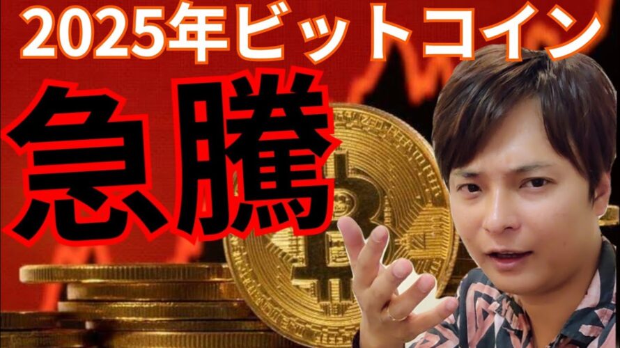【2025年にビットコインは急騰する】機関投資家から『需要ショック』が起きる【仮想通貨 暗号通貨 暗号資産 BTC ETH XRP SUI 他】