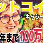 【ビットコイン】2030年まで100万ドル到達の可能性！？2025年に仮想通貨税制が雑所得から申告分離課税20%大きな一歩！