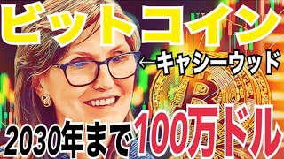 【ビットコイン】2030年まで100万ドル到達の可能性!?2025年に仮想通貨税制が雑所得から申告分離課税20%大きな一歩!