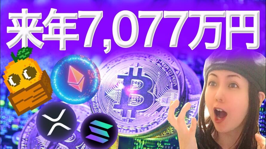 ビットコイン46万ドルまで射程内だ!価格を動かす者たち