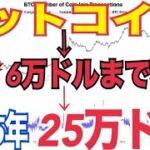 【ビットコイン】6万ドルまで暴落する複数専門家の見解◯◯マジでヤバい！？その後25万ドルまで上昇か！？ビットコイン準備金実施される確率は⚫️⚫️%！？
