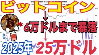 【ビットコイン】6万ドルまで暴落する複数専門家の見解◯◯マジでヤバい!?その後25万ドルまで上昇か!?ビットコイン準備金実施される確率は⚫️⚫️%!?