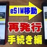 POVO eSIMの再発行手続きをしてみた！ 楽天モバイルはブラックにされたので移動準備！