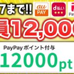 【PayPay】いいんですか…？ポイント配りすぎのキャンペーン解説！