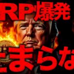 爆上げ乱発！XRPまだ買える？ビットコイン記録的激減…