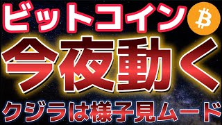 ビットコイン今夜に動く。クジラはまだ売却せずに様子見ムード??