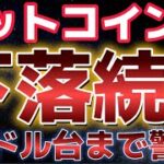 ビットコイン年末に乱高下。この下落は７万ドル台まで続く！？
