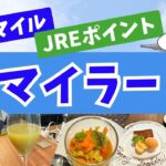 【陸マイラー】主婦マイラーは一日で何マイル貯めるのか？