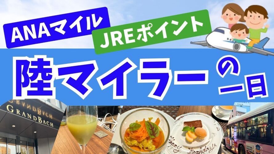 【陸マイラー】主婦マイラーは一日で何マイル貯めるのか?
