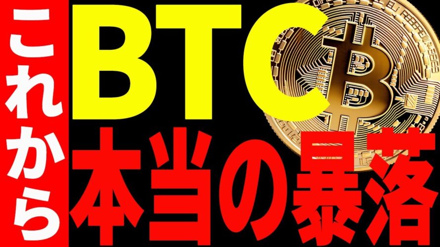 【仮想通貨】ビットコイン本当の暴落はこれから⁉︎今後の最新分析を共有!絶対見て!