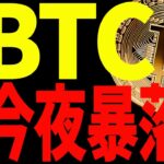【仮想通貨】ビットコインが今夜暴落する⁉︎私の今後の見解を最新チャートを使い共有！