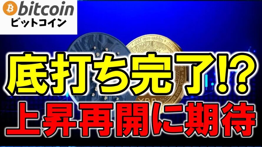 【仮想通貨 ビットコイン】底打ち完了?一部アルトも急騰してるし上昇再開に期待したい!(朝活配信1703日目 毎日相場をチェックするだけで勝率アップ)【暗号資産 Crypto】