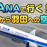 【ANAマイル旅】関空から羽田までANA便で行ってみた！【関空でのプライオリティパス体験も】