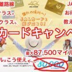 【初心者必見】JALカード入会キャンペーンとマイルのお得な使い方教えます