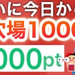 コレは参加しないと後悔する‼︎ガチでPayPay1000p付与された！！！！