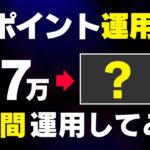 【衝撃】PayPayポイント運用を1年間やってみた結果は？ついでにdポイントも