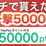 この動画は見ないと後悔します…コレでPayPay5万p貰えた‼︎