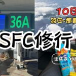 [SFC修行10日目]バリュートランジットで石垣島へ！/これからANAのSFC修行を考えている方に見て欲しい