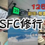 [SFC修行12日目]俺みたいになるな。バリュートランジットで石垣島リベンジに挑む男の末路/これからANAのSFC修行を考えている方に見て欲しい