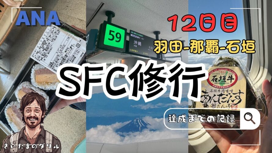 [SFC修行12日目]俺みたいになるな。バリュートランジットで石垣島リベンジに挑む男の末路/これからANAのSFC修行を考えている方に見て欲しい