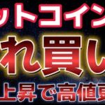 ビットコインこの反発は乗るべきか？？XRPの急騰が止まらない！！