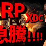 【速報】XRP、XDCが急騰！ビットコインも強さ維持！1月15日分析