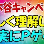 楽天モバイル 絶対に失敗せず、確実にポイント貰える方法を徹底解説します！ 三木谷キャンペーン