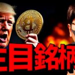 今注目すべき銘柄は？世界中でビットコイン採用の動き！！