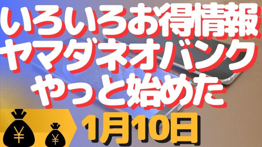 生配信!初心者大歓迎!お得情報!ヤマダネオバンク使ってみた!
