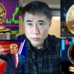 【仮想通貨】ビットコインについて私の意見を話します【暗号資産】