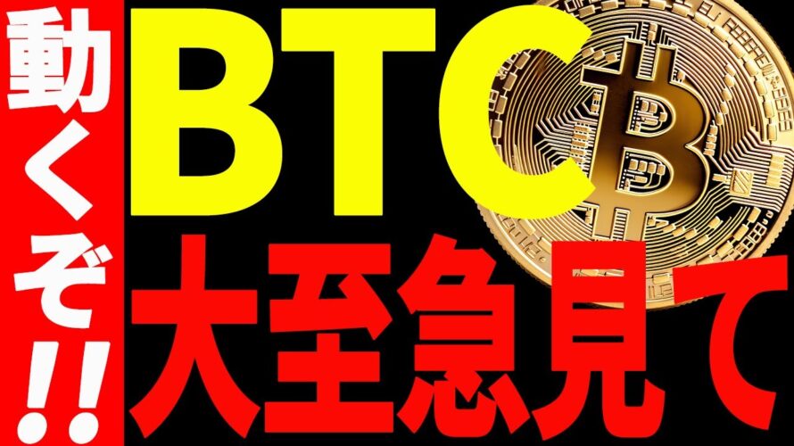【仮想通貨】ビットコイン急騰!このまま一気に〇〇万ドル⁉︎今後の最新分析を大至急見て!