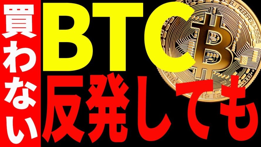 【仮想通貨】ビットコイン反発しても買わない!その理由と今後の最新分析を共有!