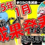 【2025年もポイ活スタート！】2025年1月の獲得実績をご紹介！【ポイ活】【実収益】