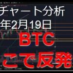 2025年2月19日ビットコイン相場分析