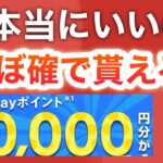 最近PayPay配りすぎじゃない？最大10000pが簡単に貰える‼︎