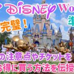 お得に！快適！これで完璧！ディズニーワールド行き方徹底解説♩航空券購入の注意点やチケットをお得に購入する方法も伝授！【WDW準備編】
