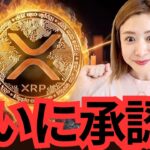 【速報】XRPリップルETFついに…!?! ビットコイン市場がヤバいことに