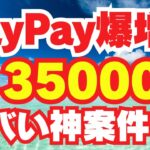 【 paypay 】 ポイント 毎日 無料 でもらえる キャンペーン ヤバい ポイ活 案件で ペイペイ を 稼ぐ 方法 スマホ で 稼げる おすすめ 副業 不労所得 で 節約 貯金 【 お金 】