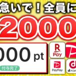 【まじすか…】paypay 2,000円が全員もらえる神キャンペーンがスタート！急いで！