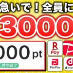 【まじすか…】paypay 3,000円が全員もらえる神キャンペーンがスタート！急いで！