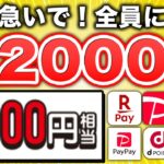【まじすか…】paypay 3,500円がもらえる！ハズレなしの神キャンペーンがスタート！急いで！