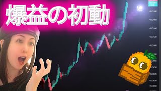 今月はこれ!今ビットコイン・ソラナから流れている