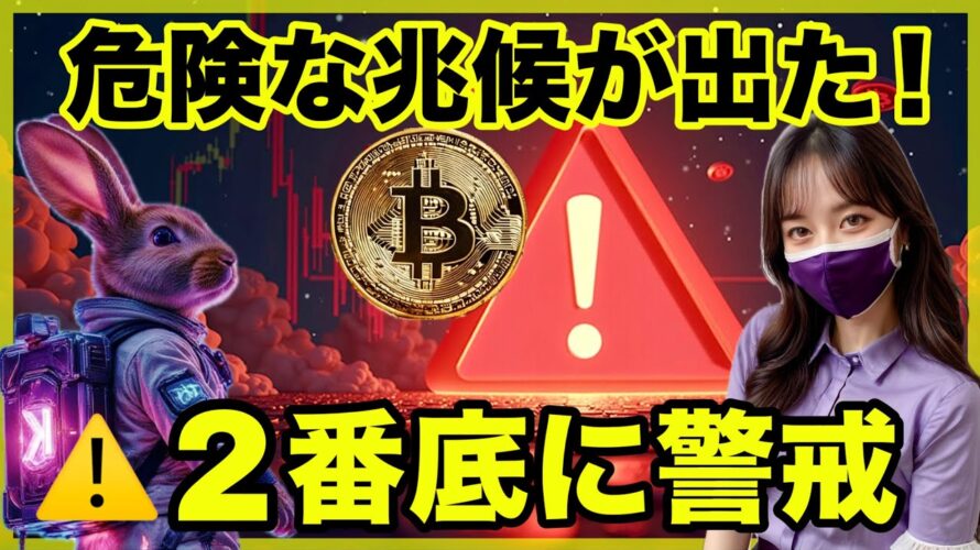 【危険警戒】とんでもない数のビットコインが取引所に流入!バブル崩壊か?