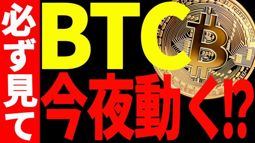 【仮想通貨】ビットコインが今夜動く⁉今後は○○での値動きを意識しろ!