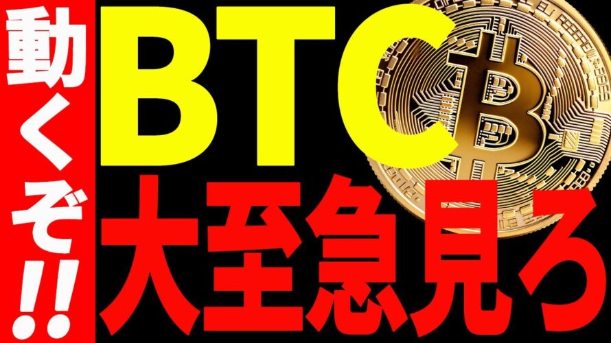 【仮想通貨】ビットコイン今夜動くぞ!今後の値動きにおいて絶対見るべきポイントは〇〇です!