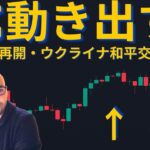 【元証券アナリスト】ビットコイン、米国市場再開そしてウクライナ和平交渉でどうなる！？再び動き出せるか！？