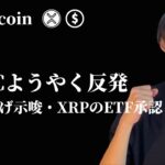 【ビットコインが反発開始】　トレードにおける『引きの強さ』　【仮想通貨・ビットコイン・ドル円相場分析】