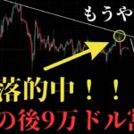 【⚠️逃げろ】まさか買ってないよな？これからビットコイン大暴落します