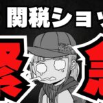 【💀下落止まらず】トランプ関税ショック！ビットコインがそれでも強気な理由／ただアルトコインが苦しい。。もう資産が減るし気が滅入りそう。。／さらにひどいのは魔界。もうやだ。帰りたい